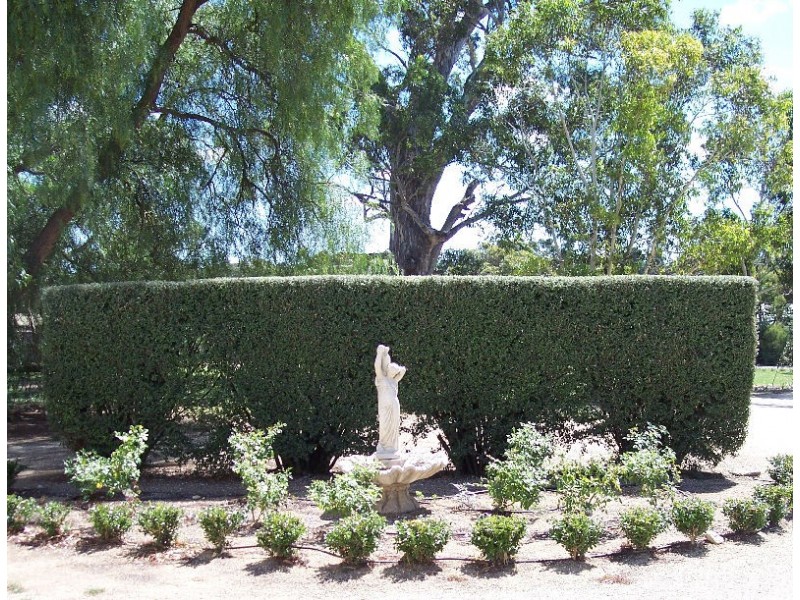 Dartmoor Homestead, Naracoorte SA 5271