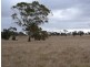 Section 10 Cannawigara, Bordertown SA 5268