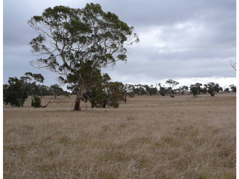 Section 10 Cannawigara, Bordertown SA 5268