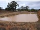 Section 10 Cannawigara, Bordertown SA 5268
