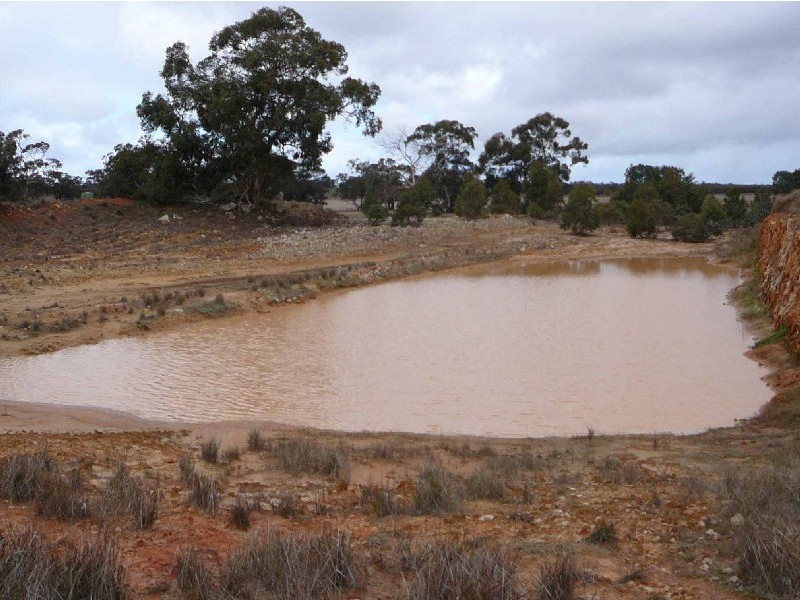 Section 10 Cannawigara, Bordertown SA 5268