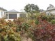 Naracoorte SA 5271
