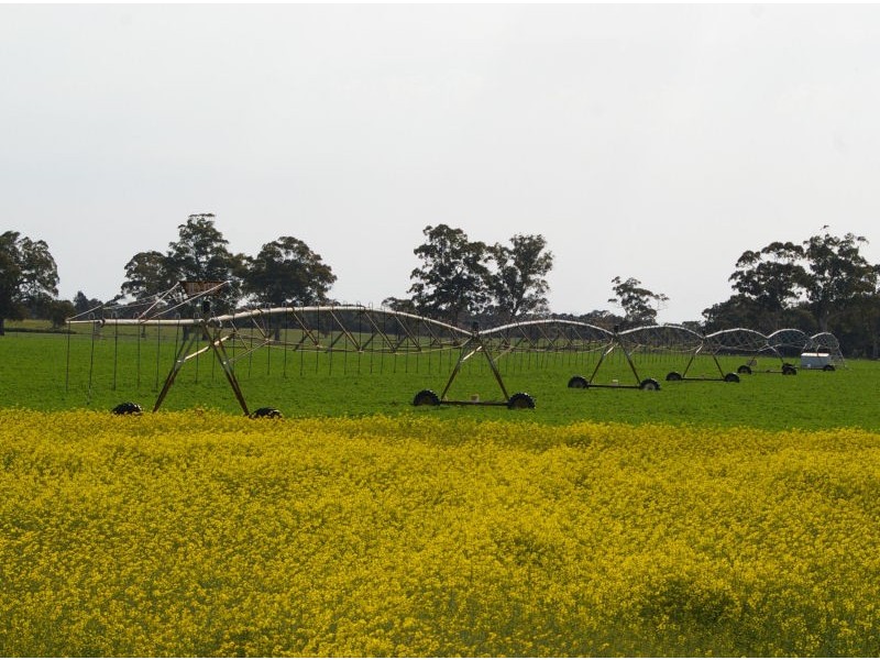 Chappels Rd ‘Redwood Downs’, Naracoorte SA 5271