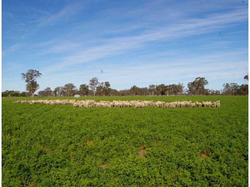 Chappels Rd ‘Redwood Downs’, Naracoorte SA 5271