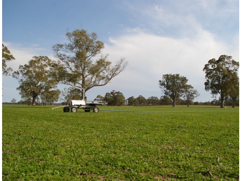 Chappels Rd ‘Redwood Downs’, Naracoorte SA 5271
