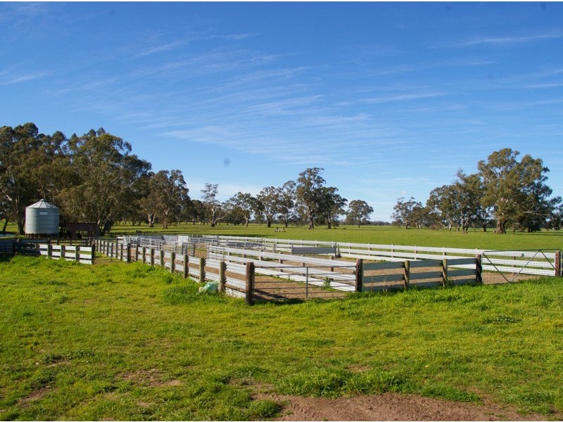 Chappels Rd ‘Redwood Downs’, Naracoorte SA 5271