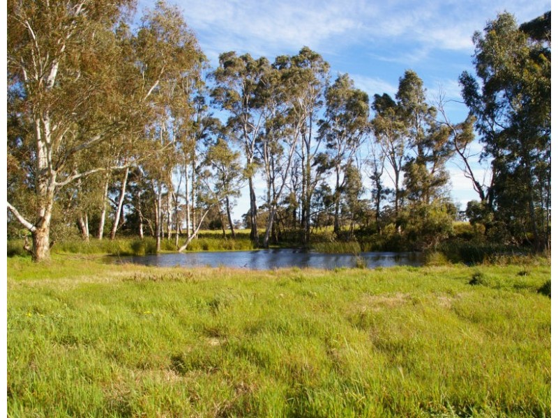 Chappels Rd ‘Redwood Downs’, Naracoorte SA 5271