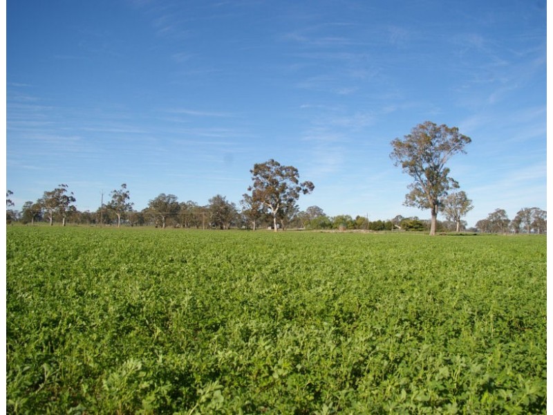 Chappels Rd ‘Redwood Downs’, Naracoorte SA 5271