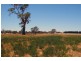 Lot 22 Hundred of Jessie, Naracoorte SA 5271