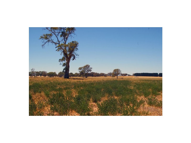 Lot 22 Hundred of Jessie, Naracoorte SA 5271