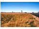 Lot 22 Hundred of Jessie, Naracoorte SA 5271