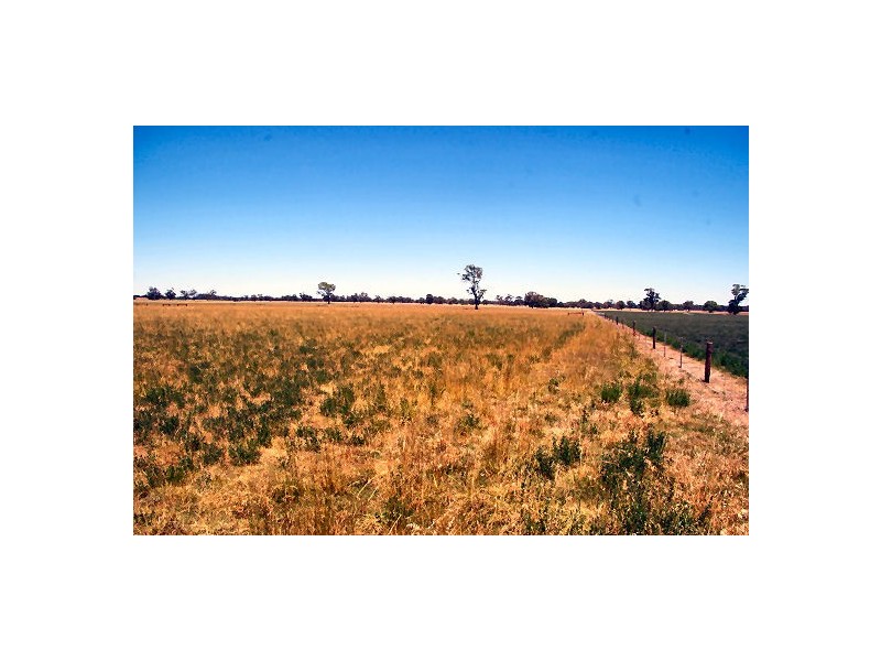 Lot 22 Hundred of Jessie, Naracoorte SA 5271