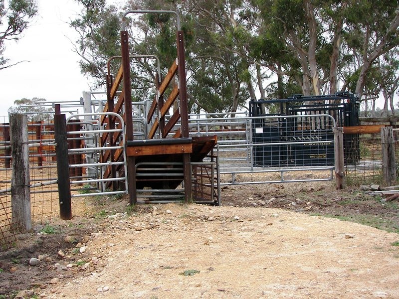 Naracoorte SA 5271