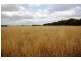 Naracoorte SA 5271
