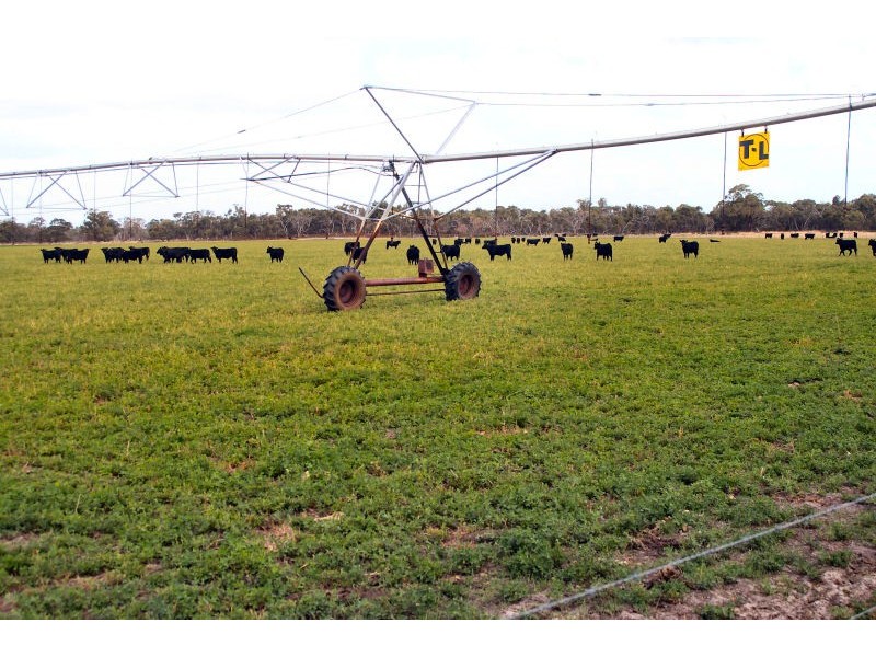 ‘Waterfield’ via Penola, Penola SA 5277