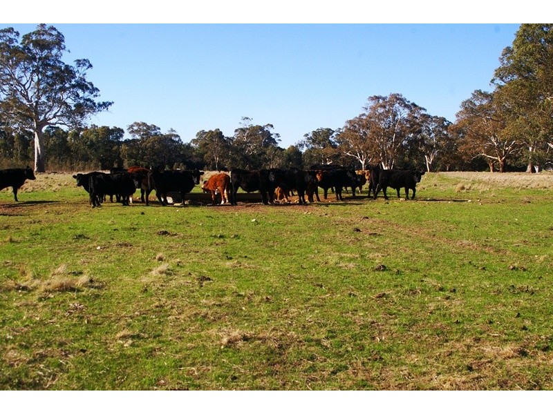 CK Smith Rd ‘Carluke’, Naracoorte SA 5271