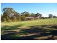 CK Smith Rd ‘Carluke’, Naracoorte SA 5271