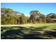 CK Smith Rd ‘Carluke’, Naracoorte SA 5271