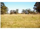 CK Smith Rd ‘Carluke’, Naracoorte SA 5271