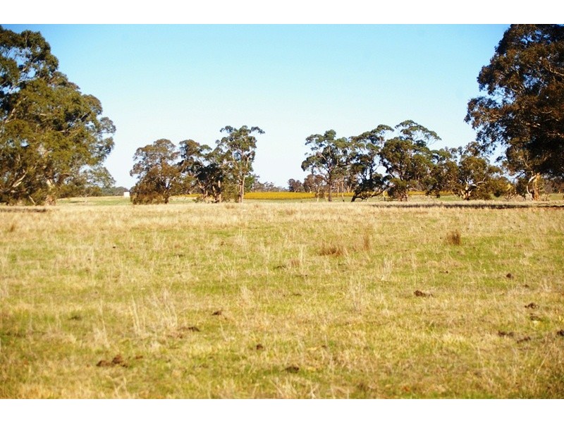 CK Smith Rd ‘Carluke’, Naracoorte SA 5271