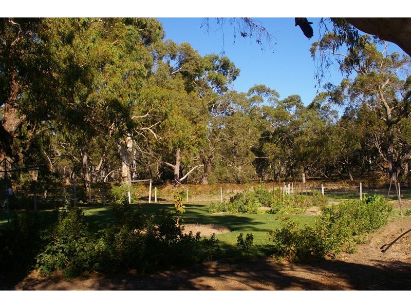 CK Smith Rd ‘Carluke’, Naracoorte SA 5271
