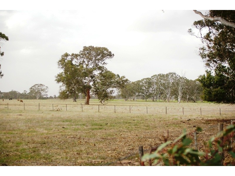 Wilsons Rise, Lots 1 and 2, Naracoorte SA 5271