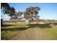 ‘Top View’ Struan via, Naracoorte SA 5271