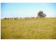 ‘Top View’ Struan via, Naracoorte SA 5271