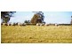 ‘Top View’ Struan via, Naracoorte SA 5271