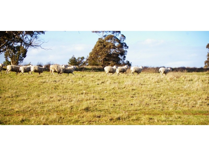 ‘Top View’ Struan via, Naracoorte SA 5271