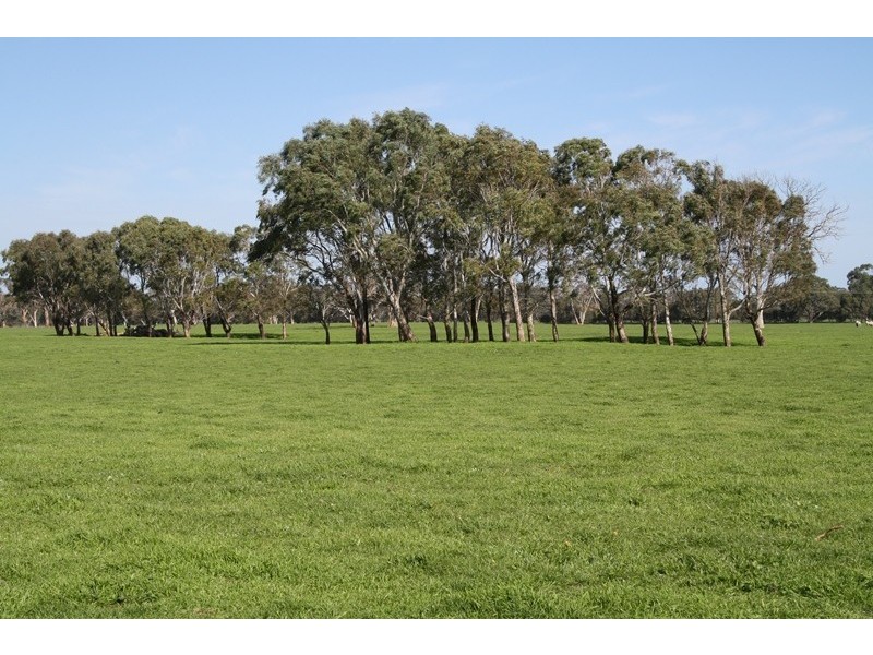 ‘Wattle Glen’, Callendale Rd, Lucindale SA 5272