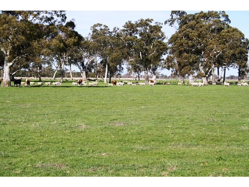 ‘Wattle Glen’, Callendale Rd, Lucindale SA 5272