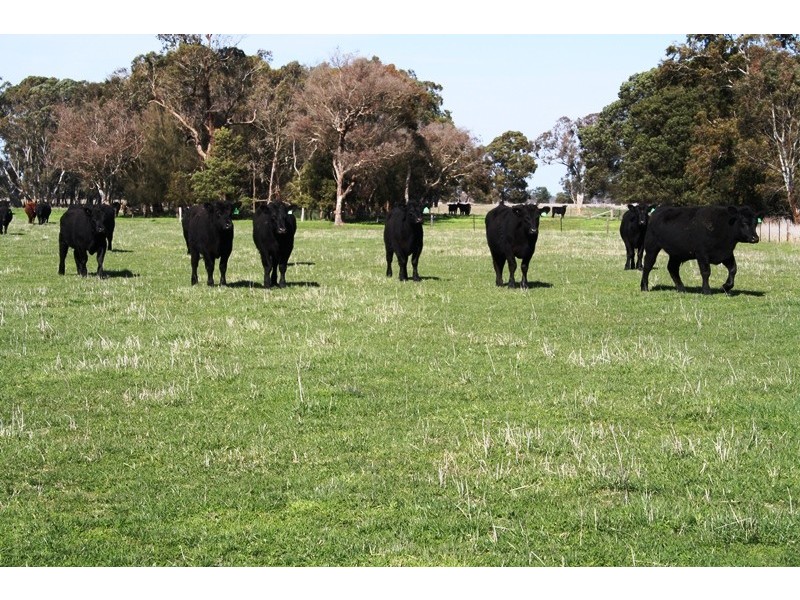 ‘Wattle Glen’, Callendale Rd, Lucindale SA 5272