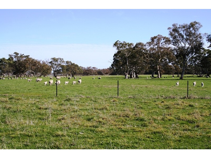 ‘Wattle Glen’, Callendale Rd, Lucindale SA 5272