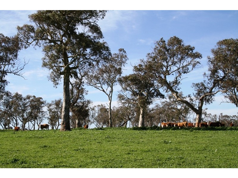 ‘Wattle Glen’, Callendale Rd, Lucindale SA 5272