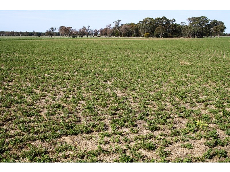 ‘Wattle Glen’, Callendale Rd, Lucindale SA 5272