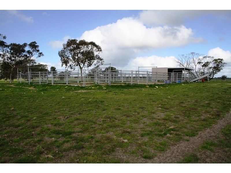 ‘Blackwater’ Stewarts Range, Naracoorte SA 5271