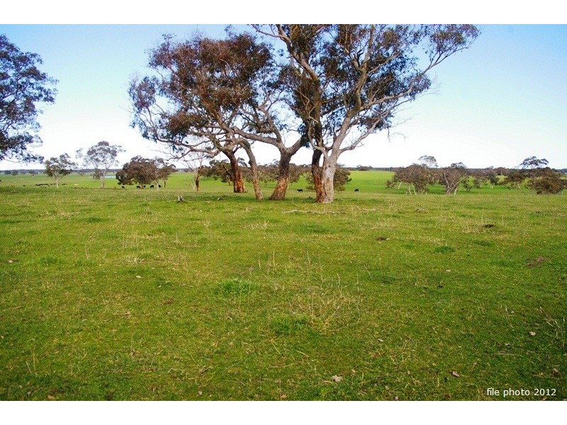 ‘Blackwater’ Stewarts Range, Naracoorte SA 5271
