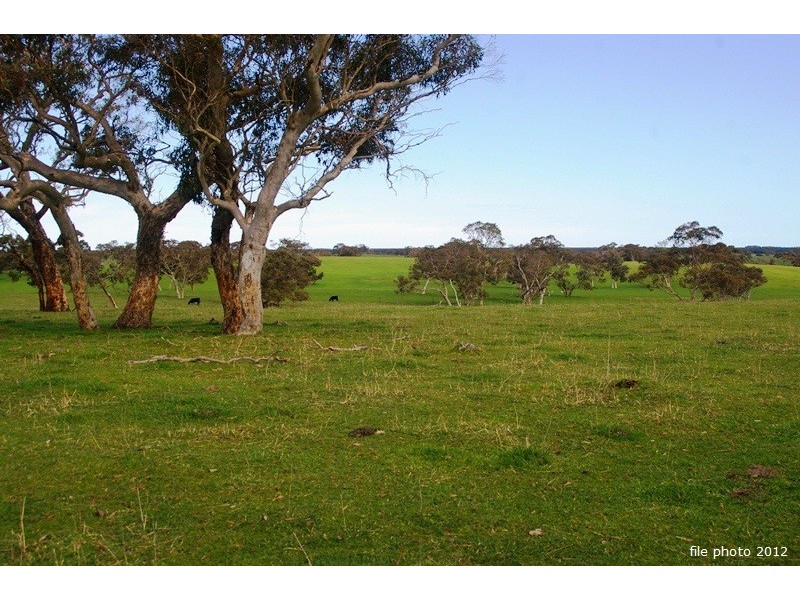 ‘Blackwater’ Stewarts Range, Naracoorte SA 5271