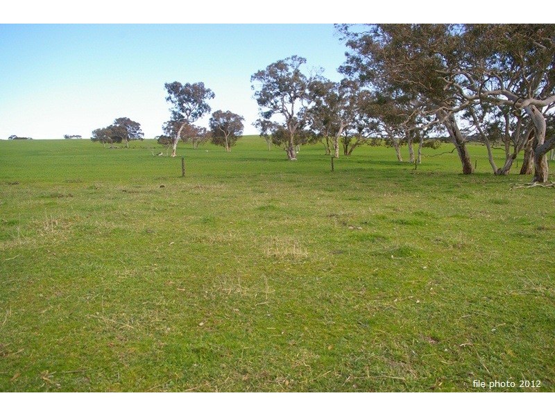 ‘Blackwater’ Stewarts Range, Naracoorte SA 5271