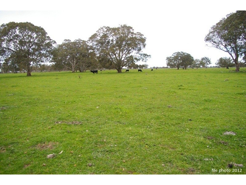 ‘Blackwater’ Stewarts Range, Naracoorte SA 5271