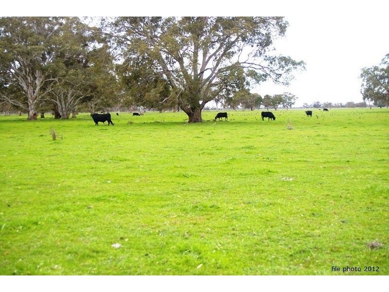 ‘Blackwater’ Stewarts Range, Naracoorte SA 5271