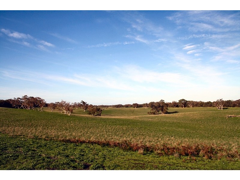 ‘Kompiam’ West Avenue Road, Conmurra SA 5272