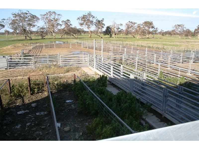 ”Sahara” Reedy Creek via, Kingston Se SA 5275