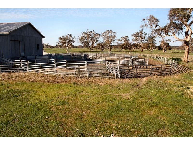 ”Sahara” Reedy Creek via, Kingston Se SA 5275