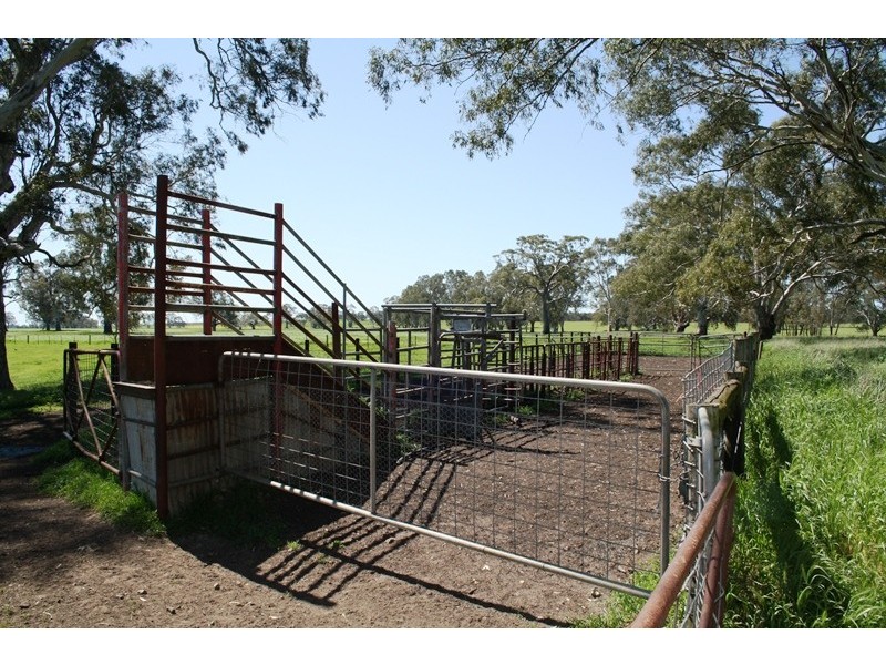 ‘Moorimbina’ Dairy, Joanna and Gum Point via, Naracoorte SA 5271