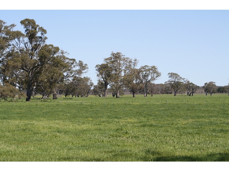 ‘Moorimbina’ Dairy, Joanna and Gum Point via, Naracoorte SA 5271