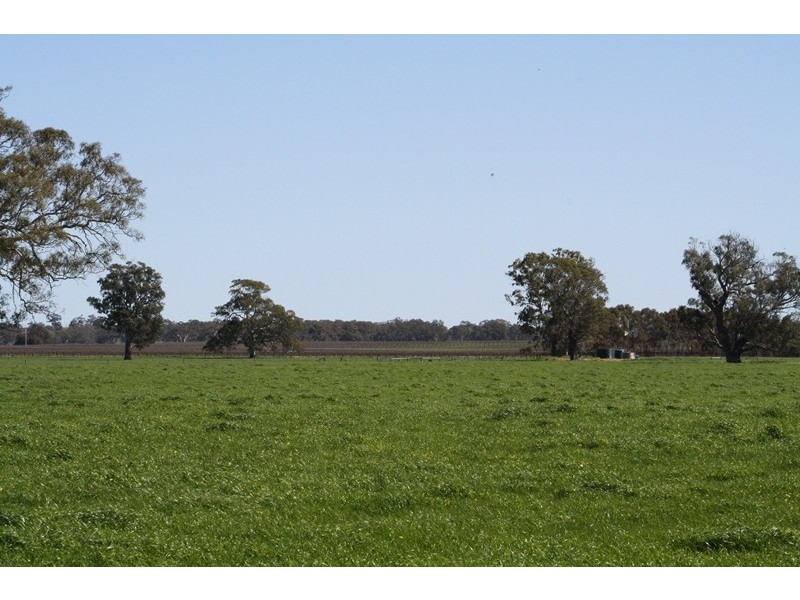 ‘Moorimbina’ Dairy, Joanna and Gum Point via, Naracoorte SA 5271