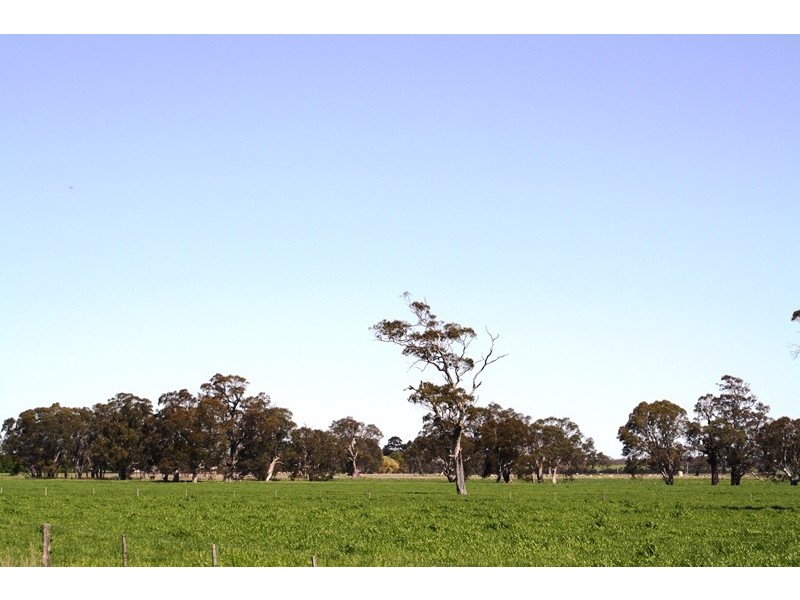 ‘Moorimbina’ Dairy, Joanna and Gum Point via, Naracoorte SA 5271