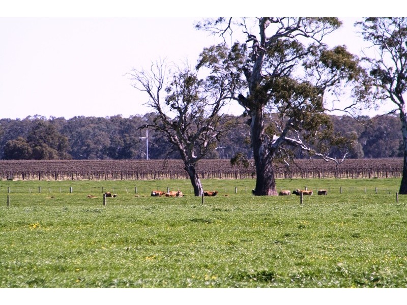‘Moorimbina’ Dairy, Joanna and Gum Point via, Naracoorte SA 5271